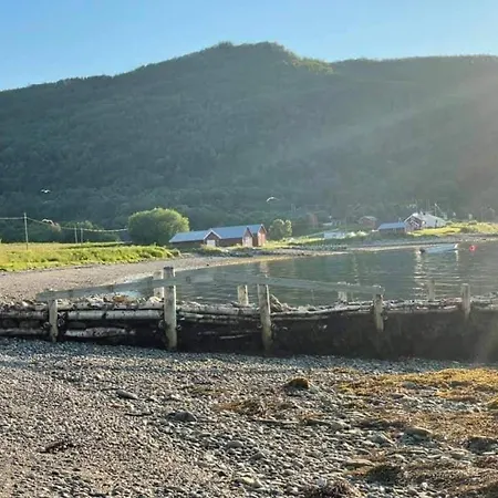 Jovika In The Heart Of Mallangen * Jovik